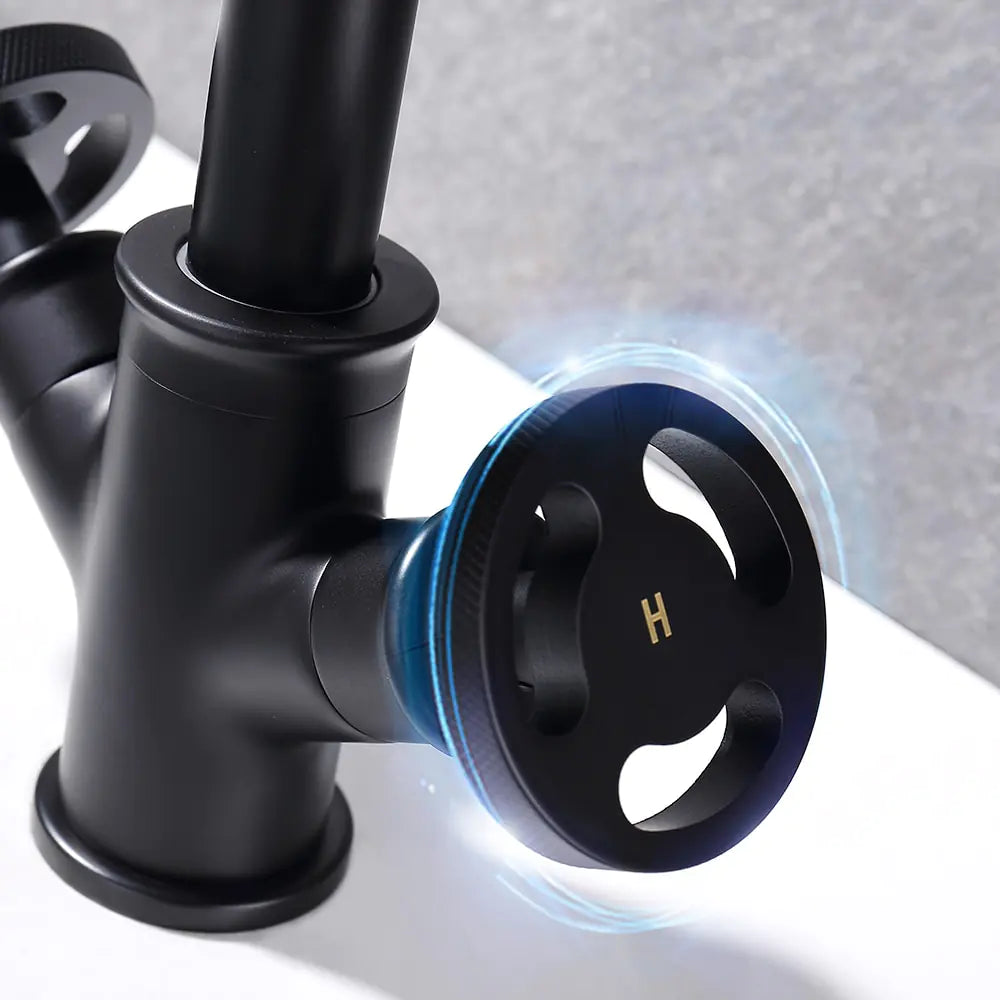 Faucets Black Brass